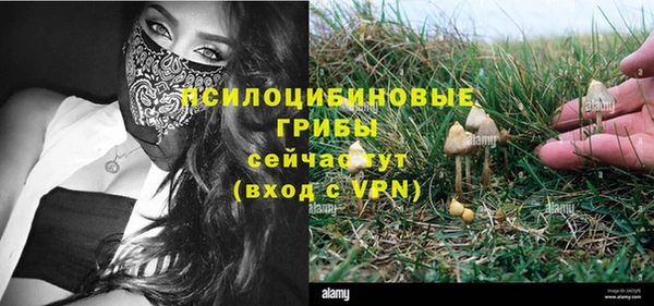 гашик Алексеевка