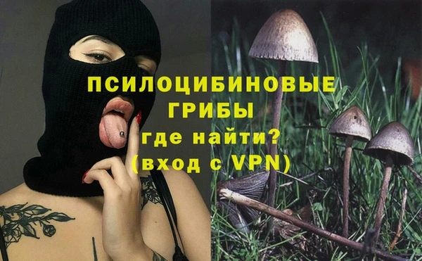 ешки Алзамай