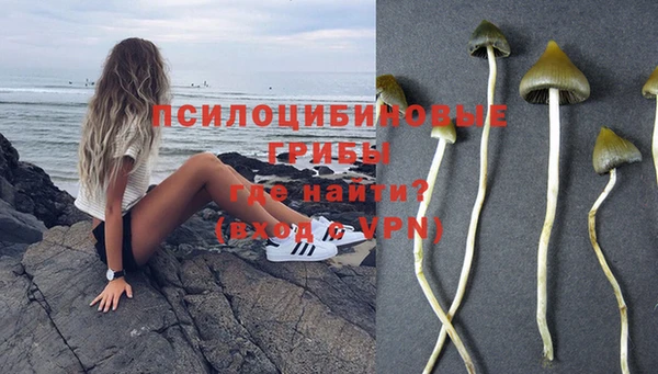 таблы Алексин