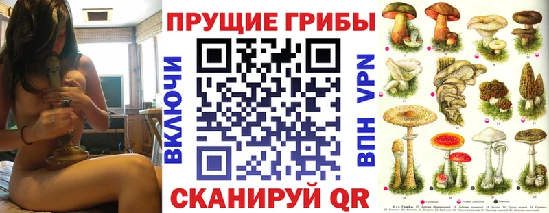 Купить  Аргун  Псилоцибиновые грибы мухоморы 